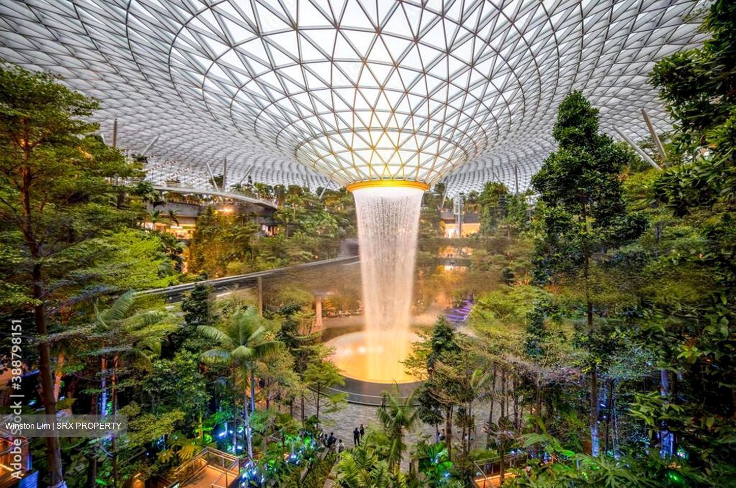 Apollo Gardens (D16), Terrace #469134761